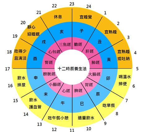 中醫時辰表|十二時辰與中醫經絡養生對照表（順天應人，強烈推薦！）